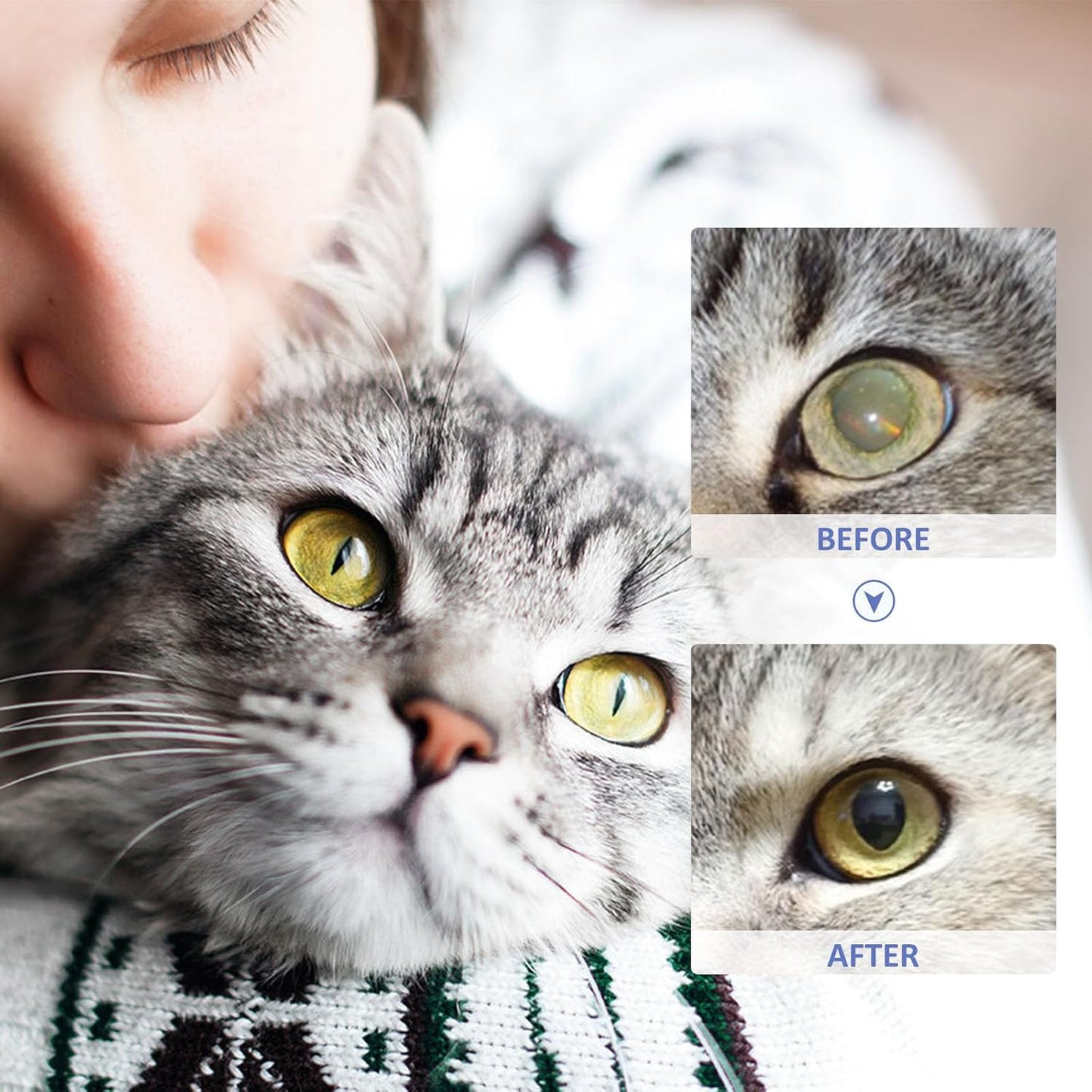 Eye Drops for Dogs & Cats🐱🐾
