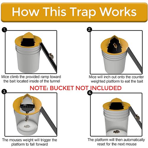 Mouse Trap Bucket