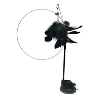 Black Feather