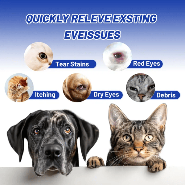 Eye Drops for Dogs & Cats🐱🐾