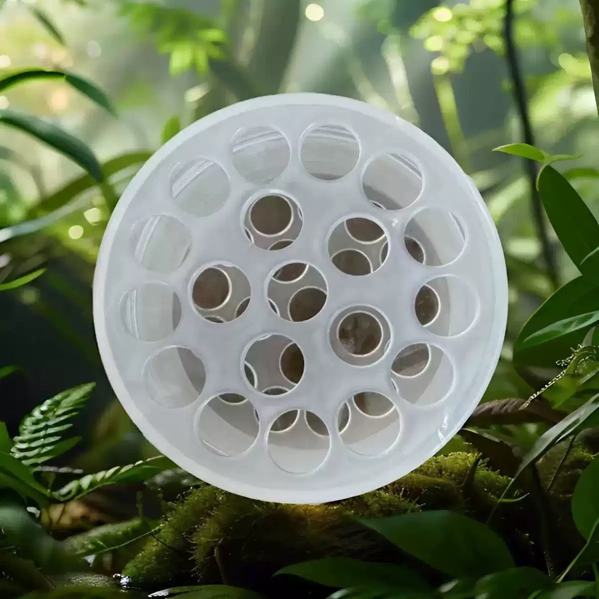 Spiral Ikebana Stem Holder