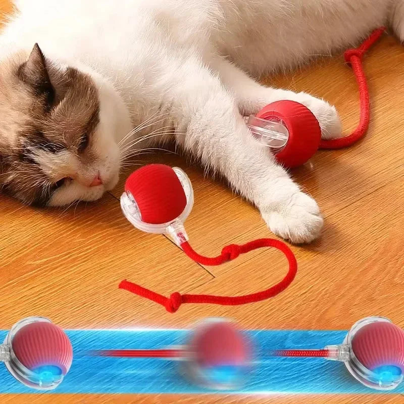š±šSmart Motion Pet Toy ā½š- Keep your pets entertained, active, and mentally stimulated