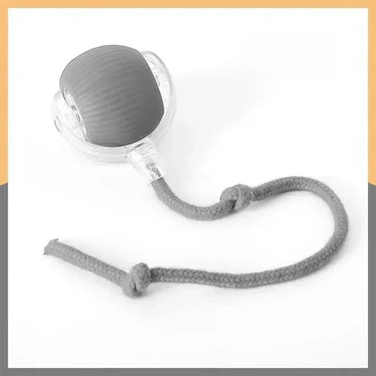 š±šSmart Motion Pet Toy ā½š- Keep your pets entertained, active, and mentally stimulated