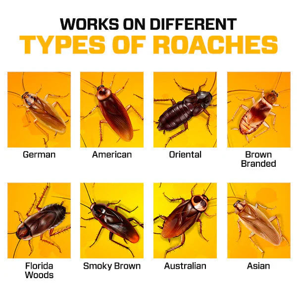 💚🔥Cockroach Killer Powder Gel (Pack of 12PCS)