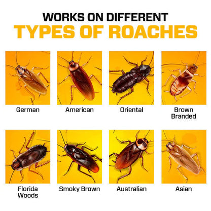 💚🔥Cockroach Killer Powder Gel (Pack of 12PCS)