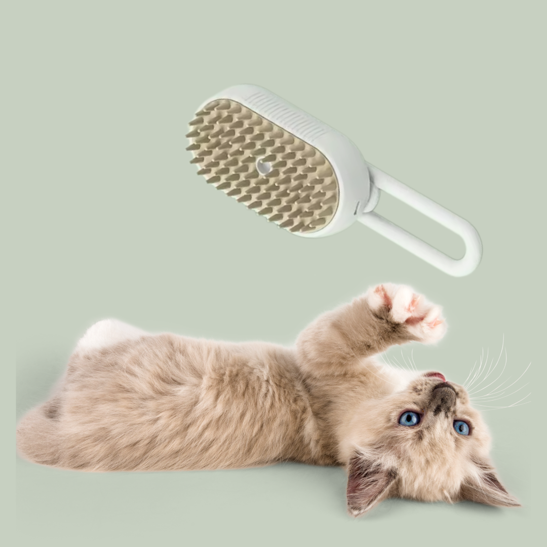 🔥🐶🐱 Cat Steam Brush–Self-Cleaning Pet Grooming Brush 🌟 with Gentle Massage & Hair Removal for Cats & Small Dogs😻