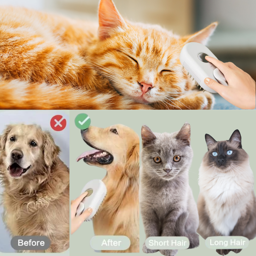 🔥🐶🐱 Cat Steam Brush–Self-Cleaning Pet Grooming Brush 🌟 with Gentle Massage & Hair Removal for Cats & Small Dogs😻