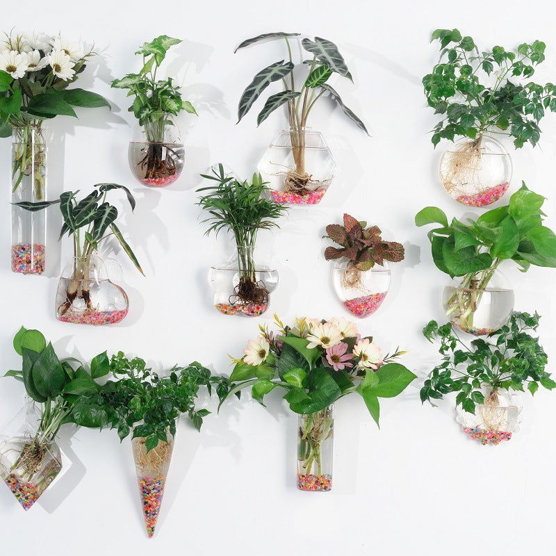 Wall-Hanging Fish Bowl🐟 Plant Containers🍃