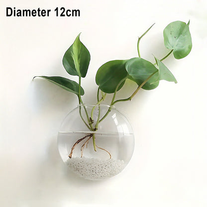 Wall-Hanging Fish Bowl🐟 Plant Containers🍃
