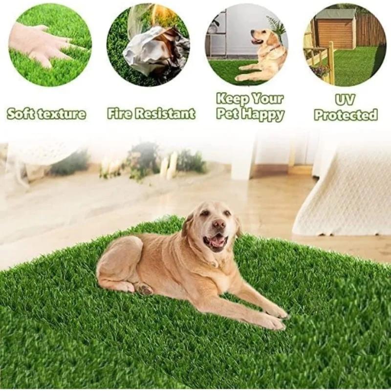🌱🌿 Grass Seed Mat, Plant Growing Mat,✨Lawn Growing Mat, Lawn Planting Seeds🌱