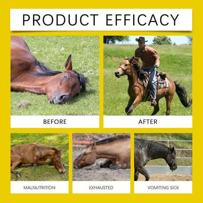 🔥Last Day 49% OFF - ivermectin Horse Paste 1.87% 6.08g Tubes