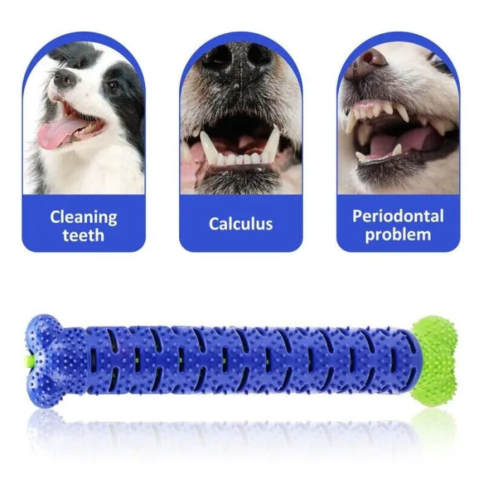 🐕Dog Toothbrush Stick