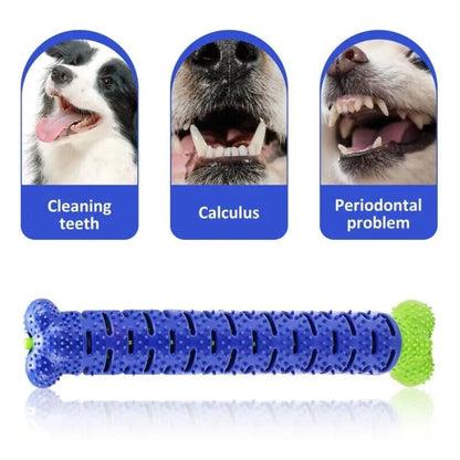 🐕Dog Toothbrush Stick