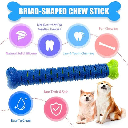 🐕Dog Toothbrush Stick