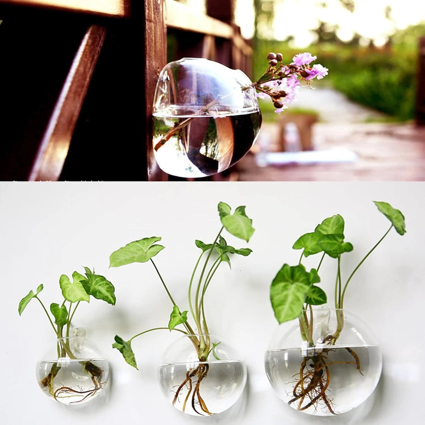 Wall-Hanging Fish Bowl🐟 Plant Containers🍃