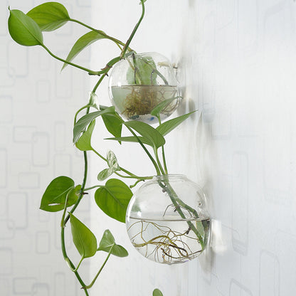 Wall-Hanging Fish Bowl🐟 Plant Containers🍃