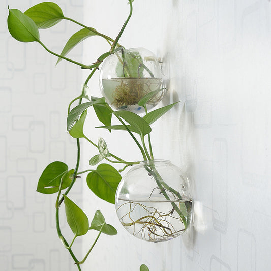 Wall-Hanging Fish Bowl🐟 Plant Containers🍃