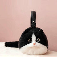 Black - and - White Cat