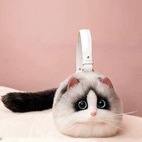 Ragdoll Cat