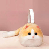 Yellow - and - White Cat
