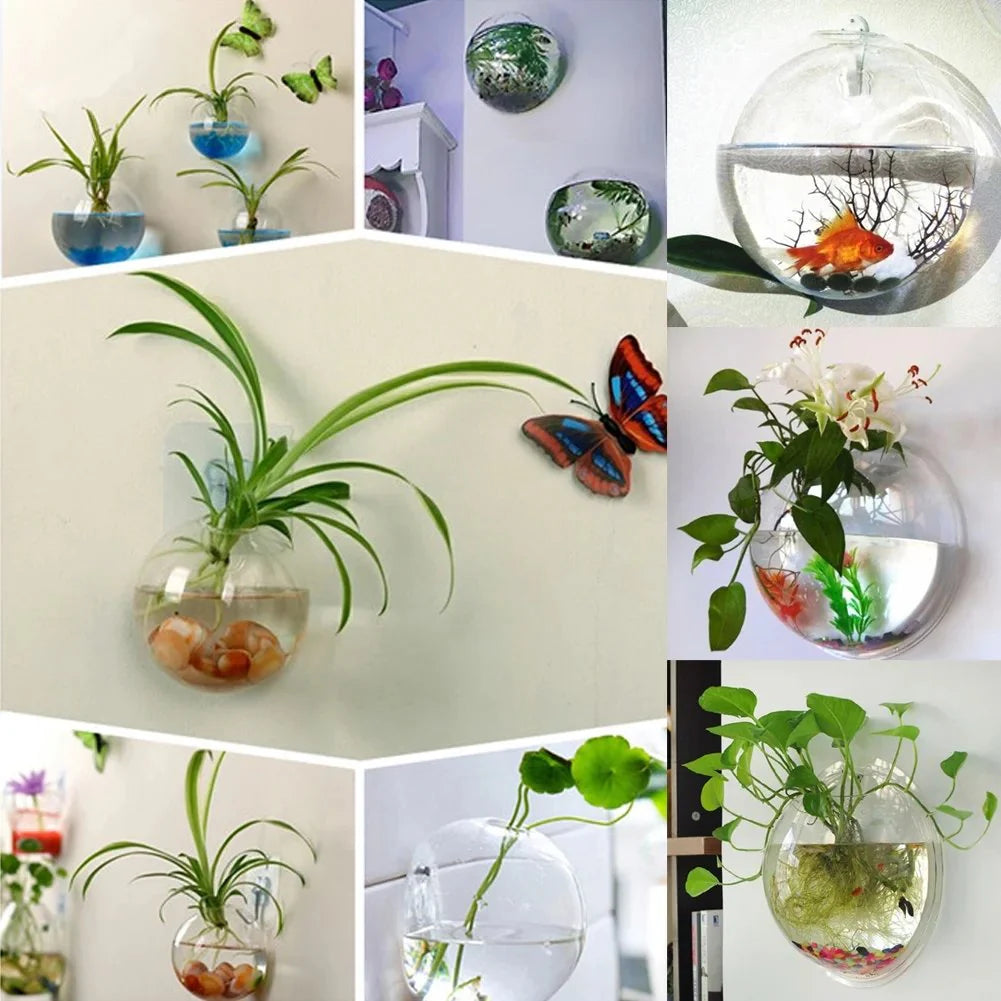 Wall-Hanging Fish Bowl🐟 Plant Containers🍃