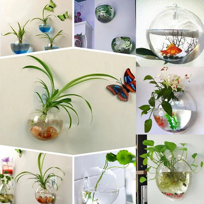 Wall-Hanging Fish Bowl🐟 Plant Containers🍃