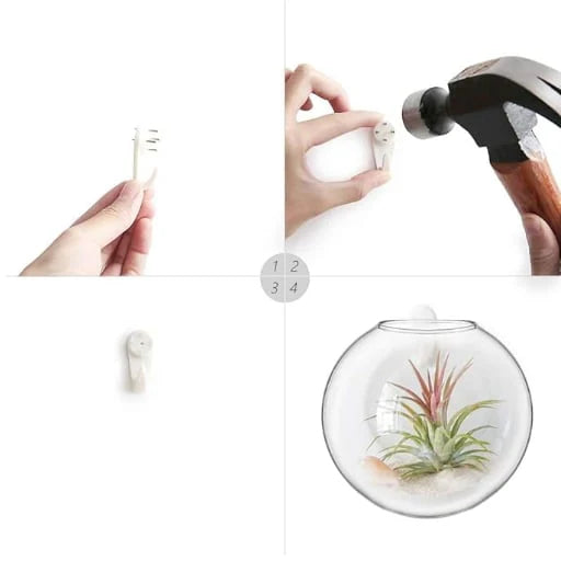 Wall-Hanging Fish Bowl🐟 Plant Containers🍃