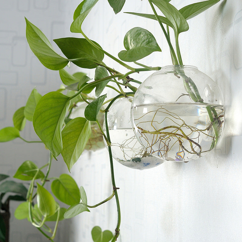Wall-Hanging Fish Bowl🐟 Plant Containers🍃