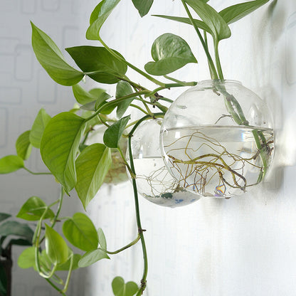 Wall-Hanging Fish Bowl🐟 Plant Containers🍃