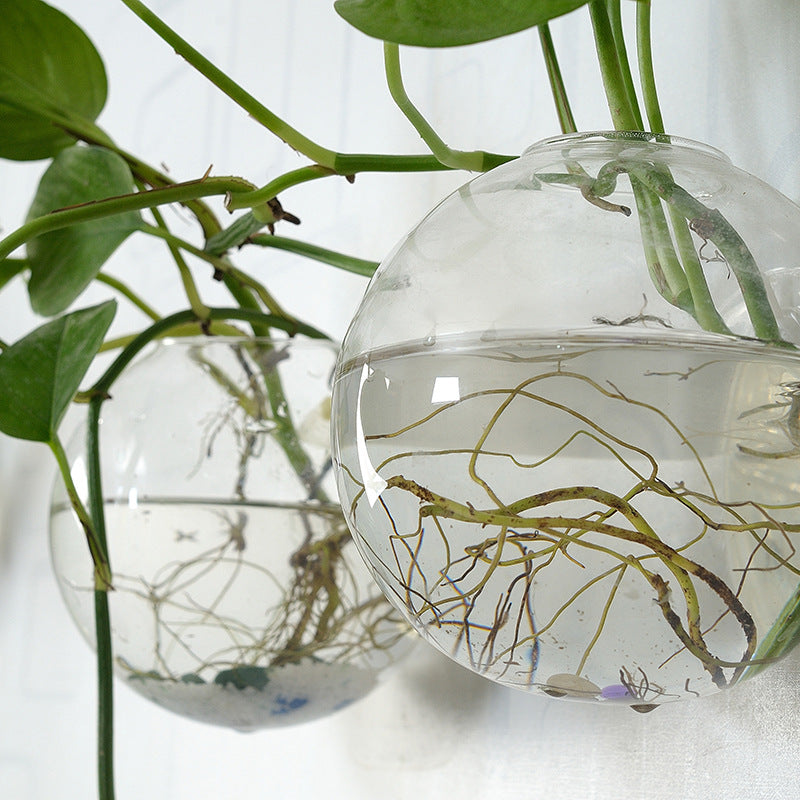 Wall-Hanging Fish Bowl🐟 Plant Containers🍃