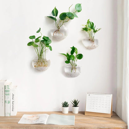 Wall-Hanging Fish Bowl🐟 Plant Containers🍃