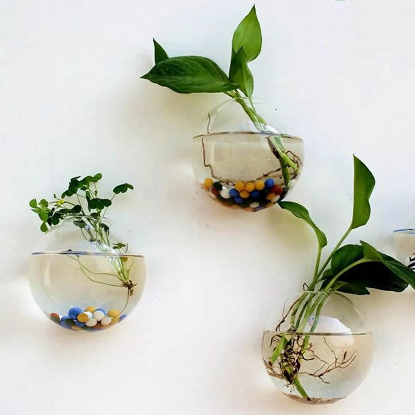 Wall-Hanging Fish Bowl🐟 Plant Containers🍃