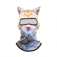 Orange Cat