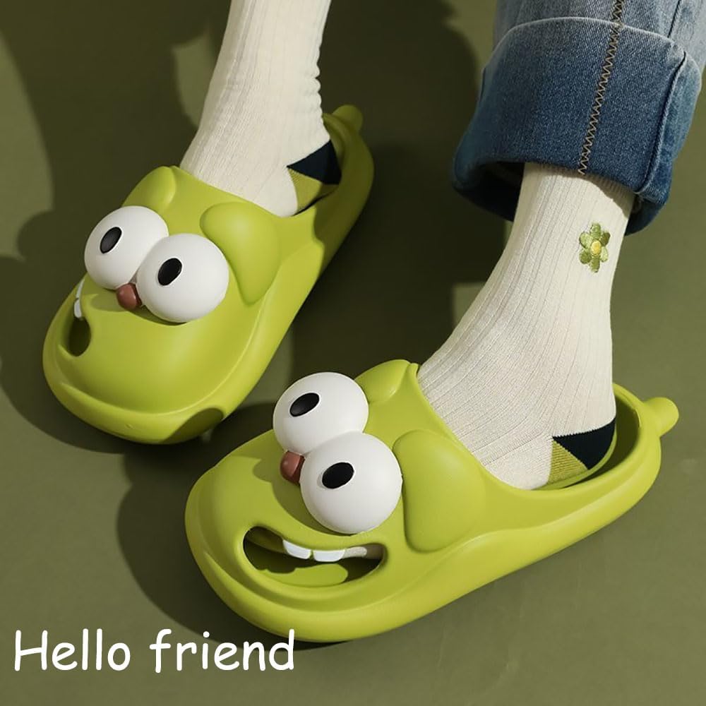 🐕Big Eye Dog Slippers