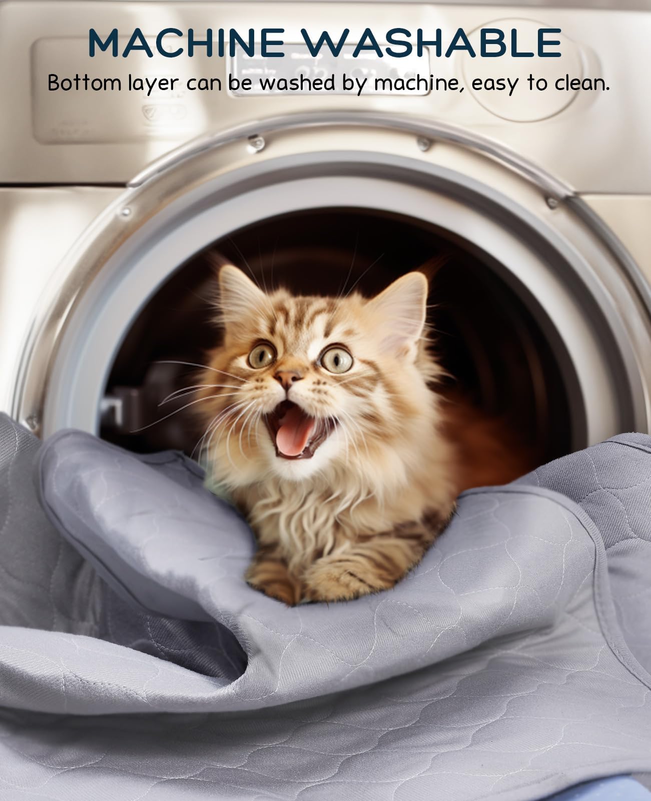 🐱Cat Litter Mat