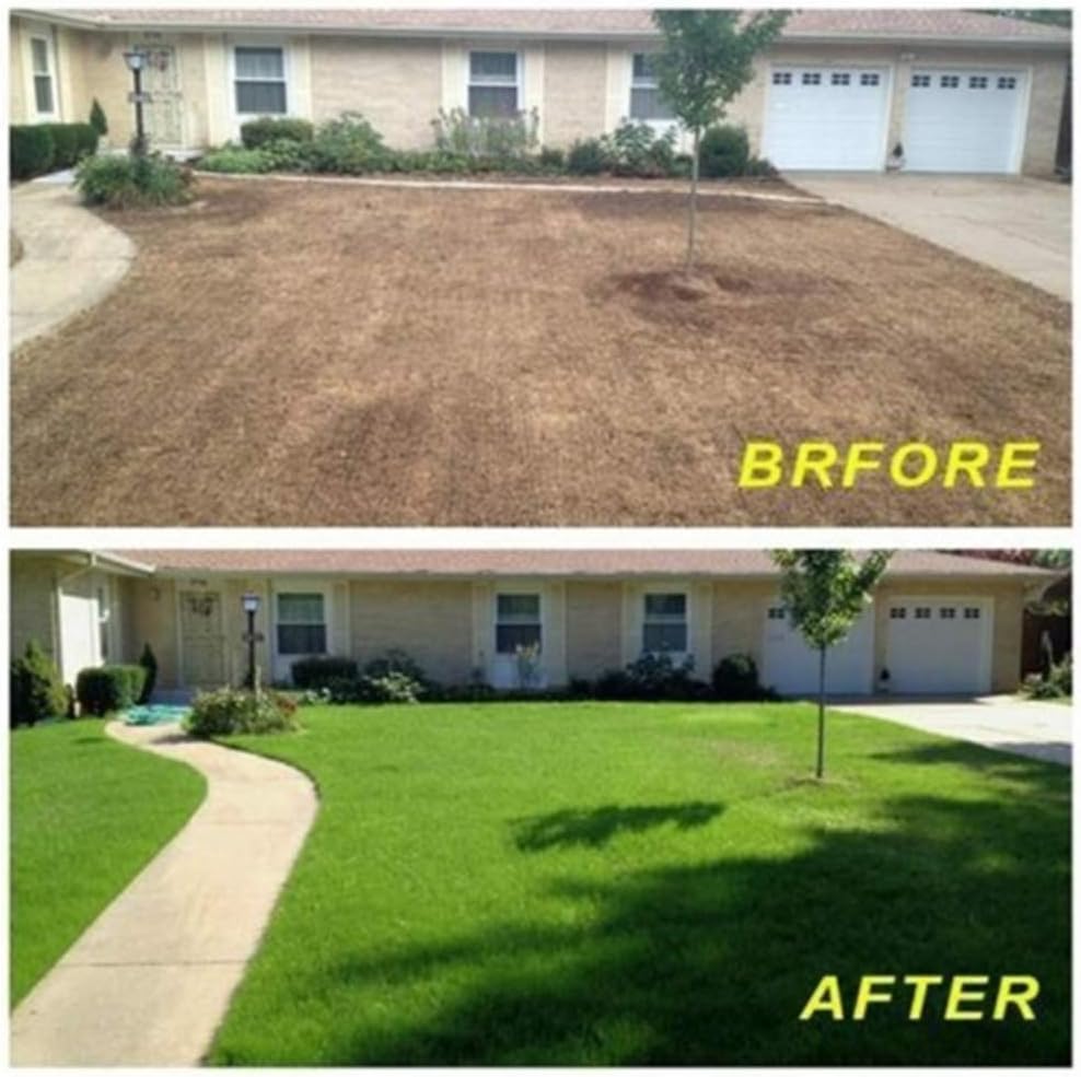 🌱🌿 Grass Seed Mat, Plant Growing Mat,✨Lawn Growing Mat, Lawn Planting Seeds🌱