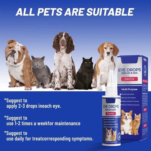 Eye Drops for Dogs & Cats🐱🐾
