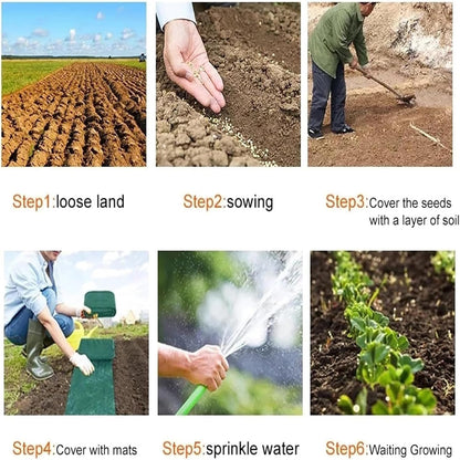 🌱🌿 Grass Seed Mat, Plant Growing Mat,✨Lawn Growing Mat, Lawn Planting Seeds🌱