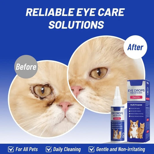 Eye Drops for Dogs & Cats🐱🐾