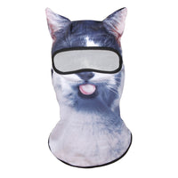 Cute Cat