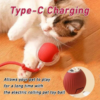 🐱🐕Smart Motion Pet Toy ⚽🏀- Keep your pets entertained, active, and mentally stimulated