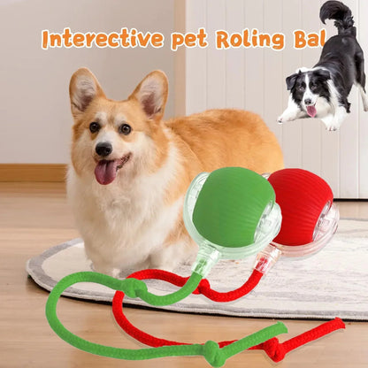 🐱🐕Smart Motion Pet Toy ⚽🏀- Keep your pets entertained, active, and mentally stimulated