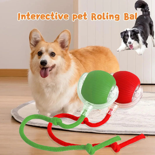 🐱🐕Smart Motion Pet Toy ⚽🏀- Keep your pets entertained, active, and mentally stimulated