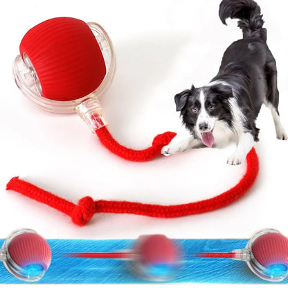 🐱🐕Smart Motion Pet Toy ⚽🏀- Keep your pets entertained, active, and mentally stimulated