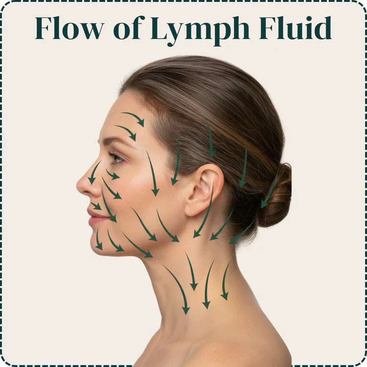 LYMPHATIC CONTOUR FACE BRUSH