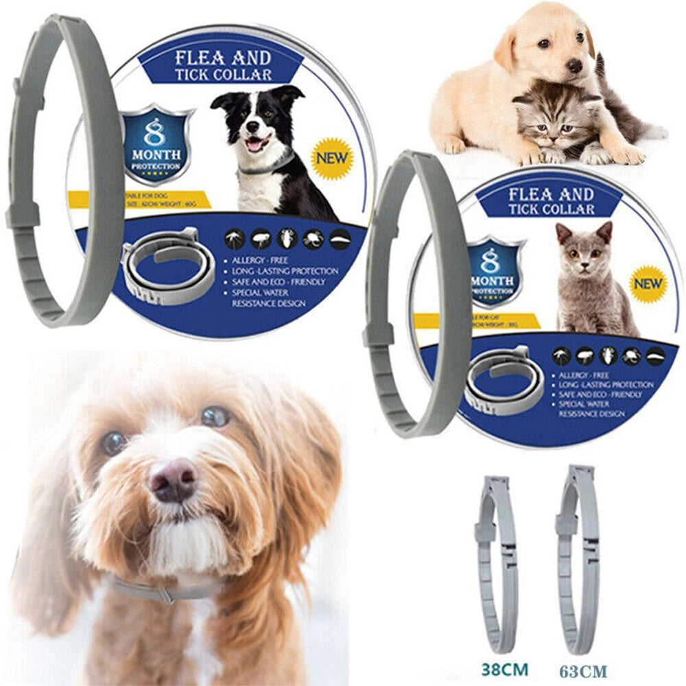 8+ Months Pet Bug Repellent Collar