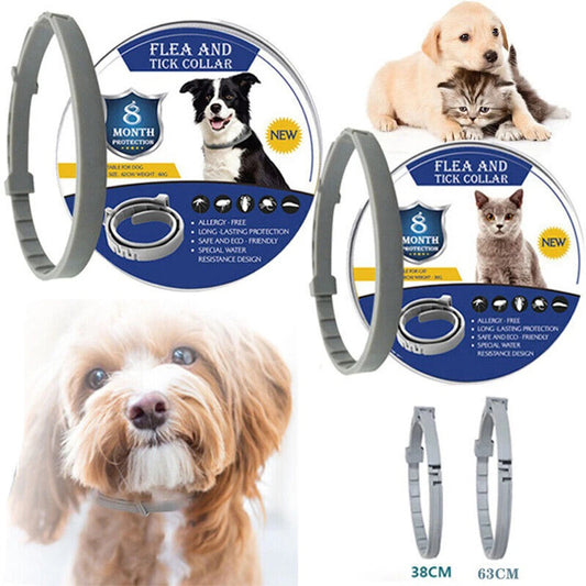 8+ Months Pet Bug Repellent Collar