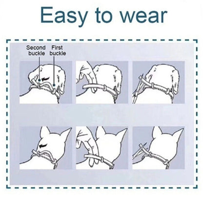 8+ Months Pet Bug Repellent Collar
