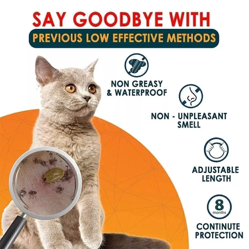8+ Months Pet Bug Repellent Collar