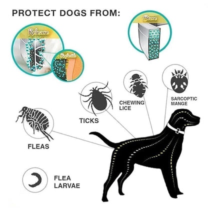 8+ Months Pet Bug Repellent Collar